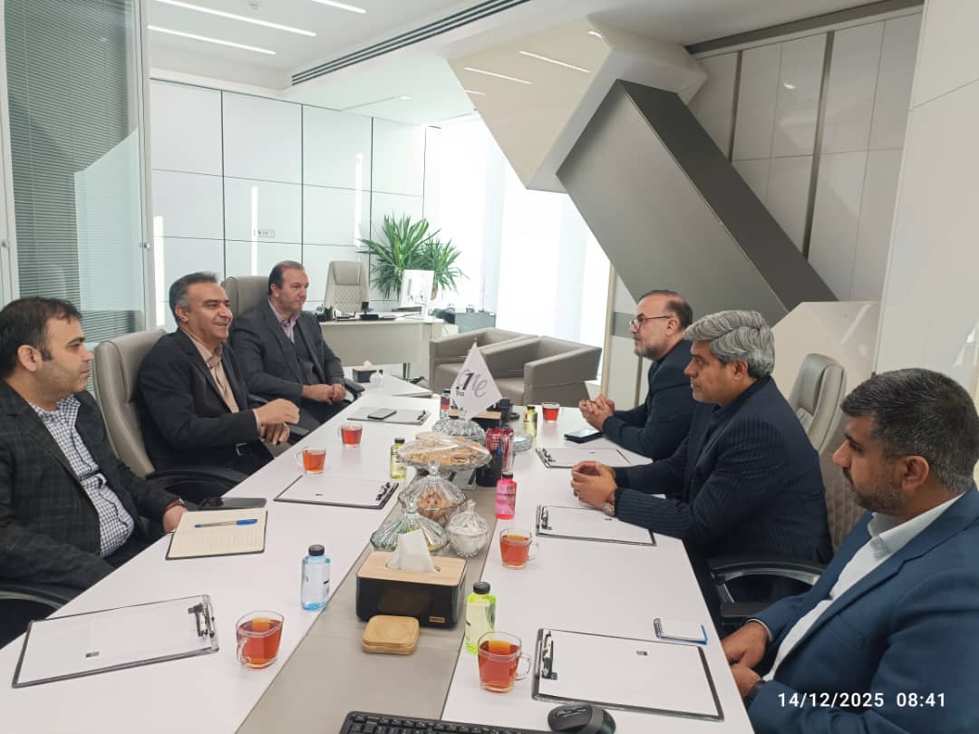 دیدار شهردار کرمان با مدیرعامل شرکت «دات‌وان» 