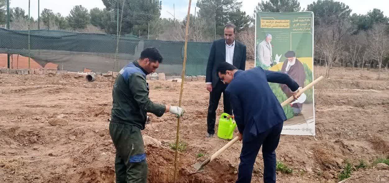 بیش از ۵۰۰ اصله درخت در پارک جنگلی «شهید باهنر» کاشته شد