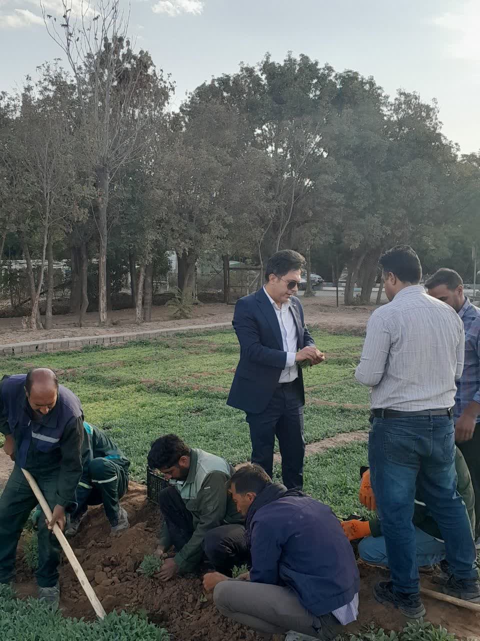 رکوردی چشمگیر در تولید گل‌های فصلی شهرداری کرمان؛ توزیع بیش از چهارمیلیون نشاء شب‌بو برای استقبال از بهار