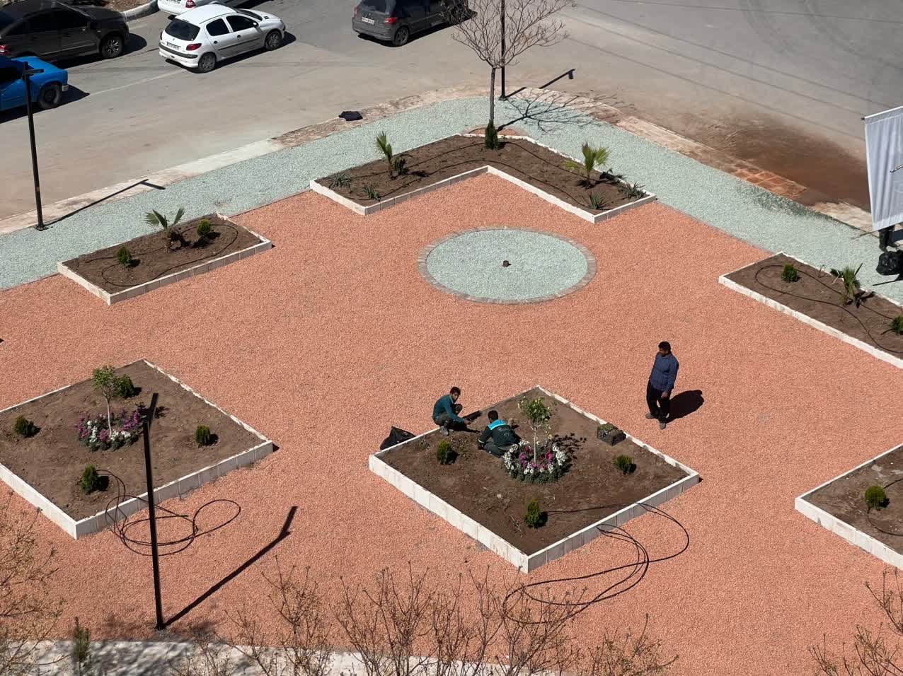 پویش «خشک منظرسازی(xeriscaping) مثلثی‌ها و لچلکی‌های» سطح منطقه دو 