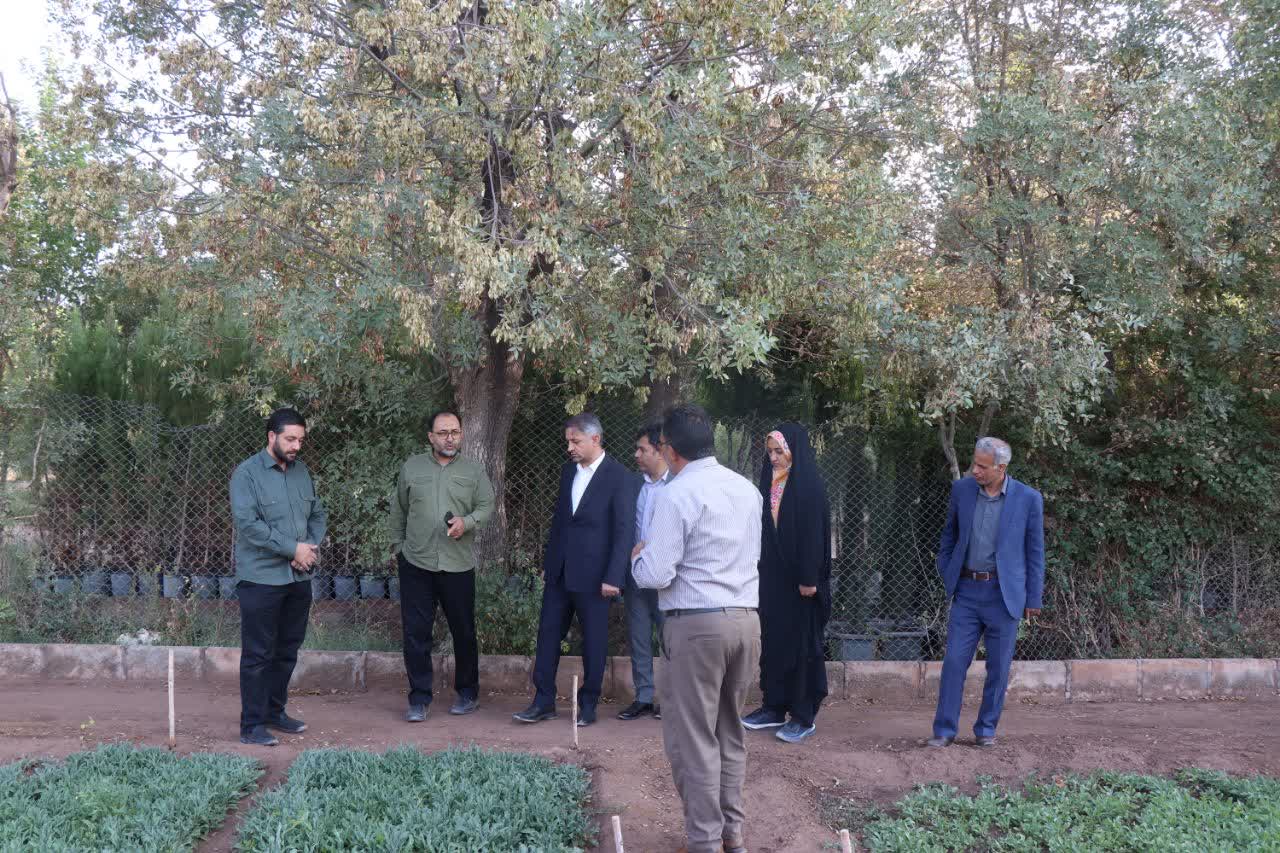 توسعه سرانه فضای سبز شهر و تولید نهال