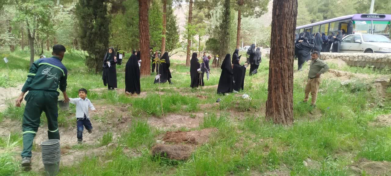 مشارکتِ قابل تقدیر تشکل‌های مردمی در توسعه جنگل قائم(عج) کرمان