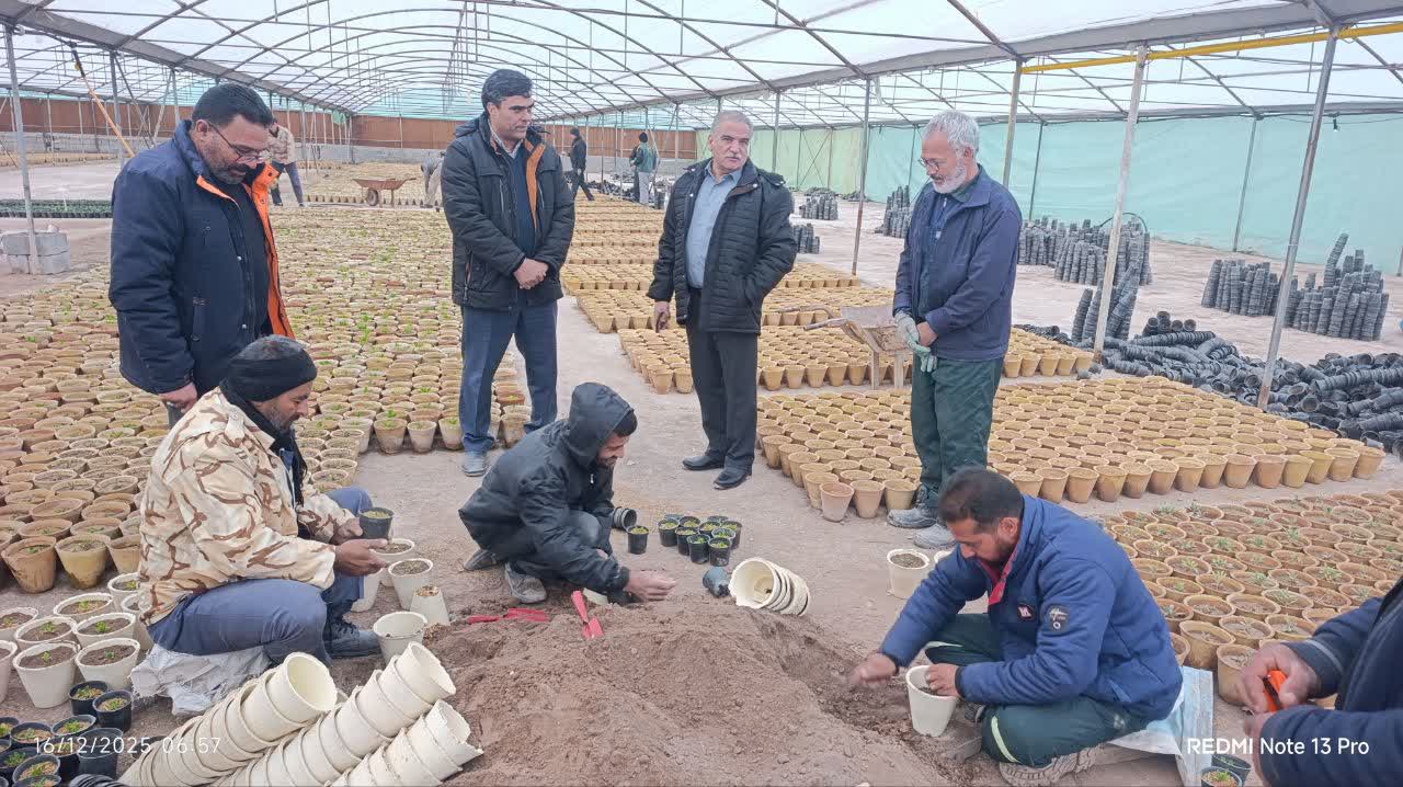  اقدامات سازمان در بخش تولید گل و گیاه شهرداری کرمان