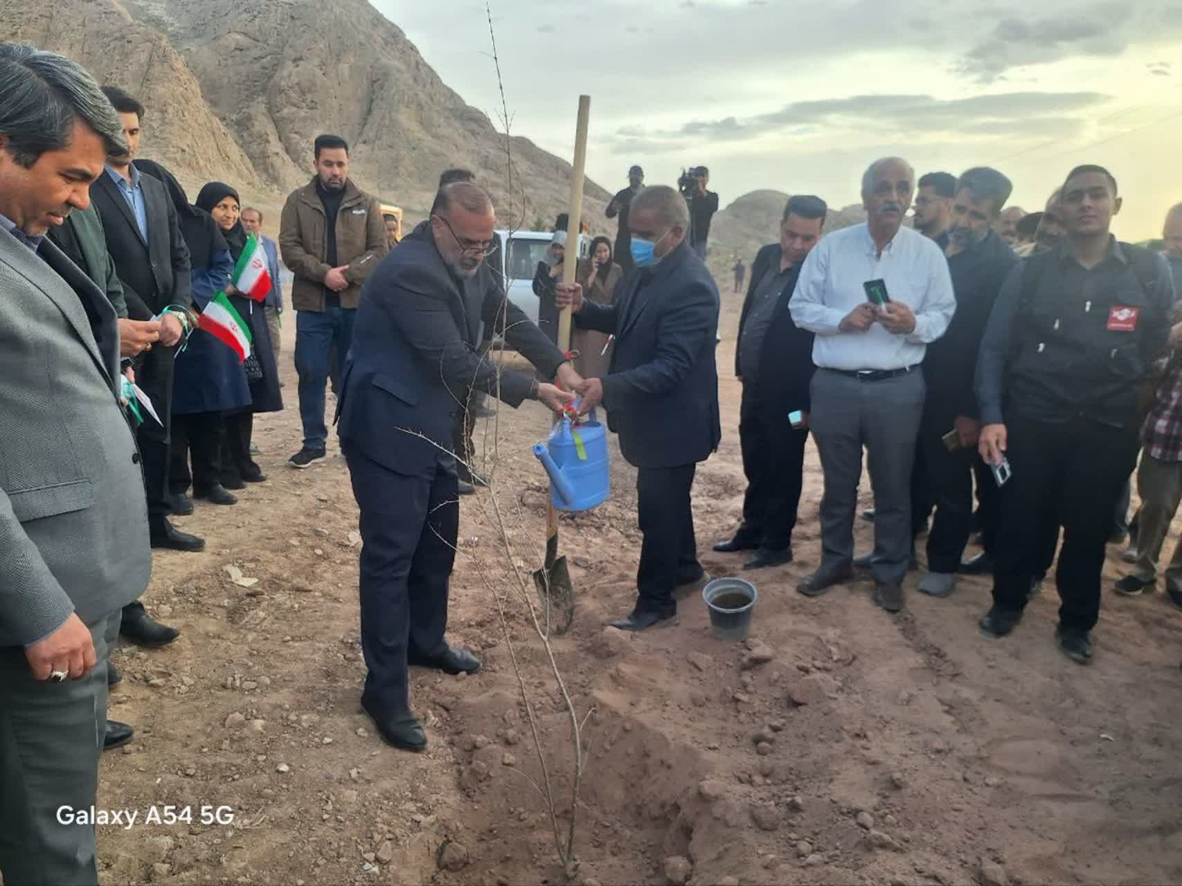 غرس هزاران اصله درخت و کاشت گل‌های فصلی در دیار کریمان
‌