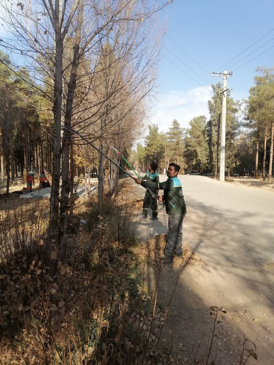 آماده‌سازی محدوده ۲۵۶ هکتاری جنگل قائم(عج) برای میزبانی از زائران سردار دل‌ها
