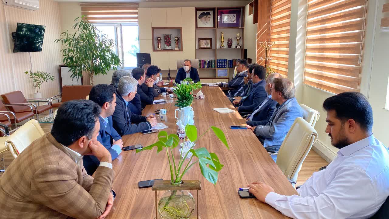 بازدید سرپرست معاونت محیط‌زیست و خدمات‌شهری شهردای کرمان از فضای سبز مناطق